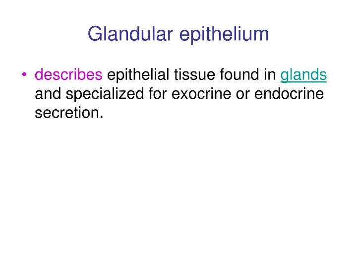 glandular epithelium
