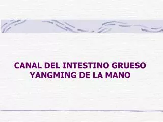 CANAL DEL INTESTINO GRUESO YANGMING DE LA MANO