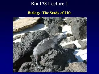 Bio 178 Lecture 1