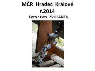 m r hradec kr lov r 2014