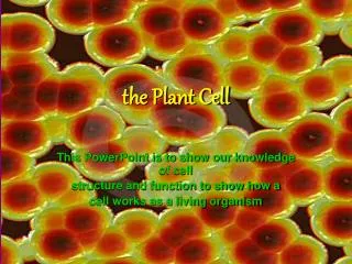 the Plant Cell