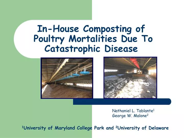 in house composting of poultry mortalities due to catastrophic disease