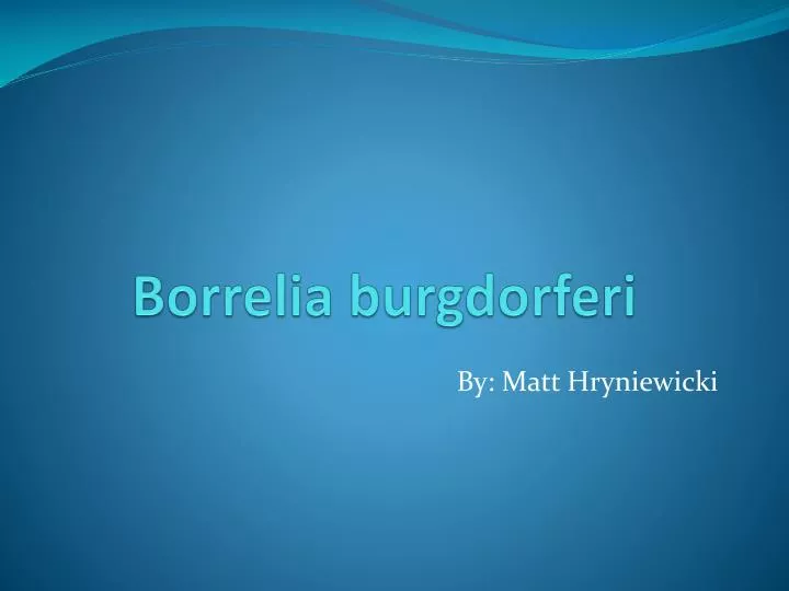 borrelia burgdorferi
