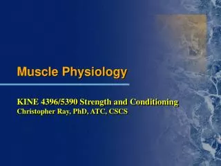 Muscle Physiology KINE 4396/5390 Strength and Conditioning Christopher Ray, PhD, ATC, CSCS