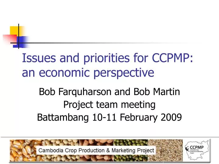 issues and priorities for ccpmp an economic perspective