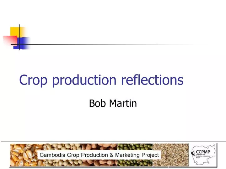 crop production reflections
