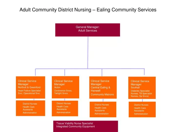 adult community district nursing ealing community services