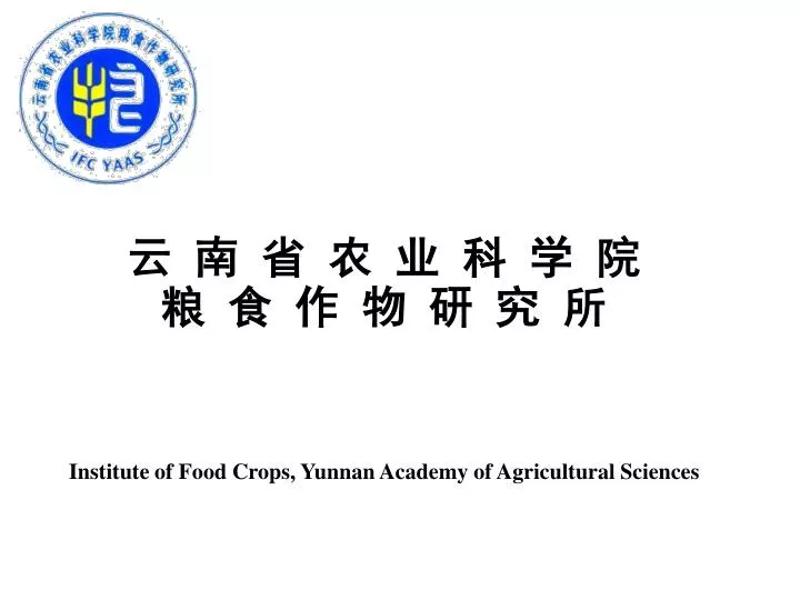 institute of food crops yunnan academy of agricultural sciences