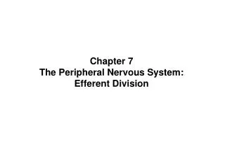 Chapter 7 The Peripheral Nervous System: Efferent Division