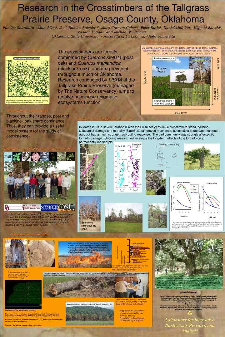 research in the crosstimbers of the tallgrass prairie preserve osage county oklahoma