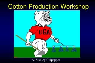 Cotton Production Workshop