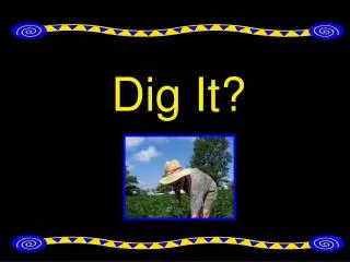 Dig It?