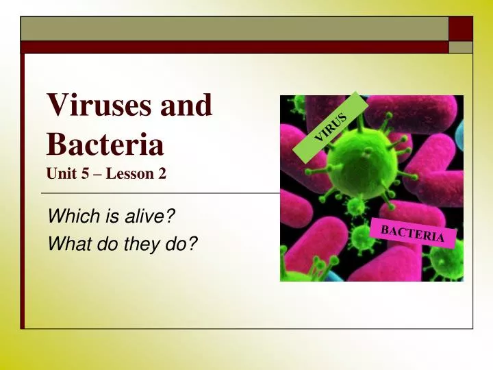 viruses and bacteria unit 5 lesson 2