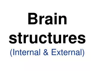 Brain structures (Internal &amp; External)