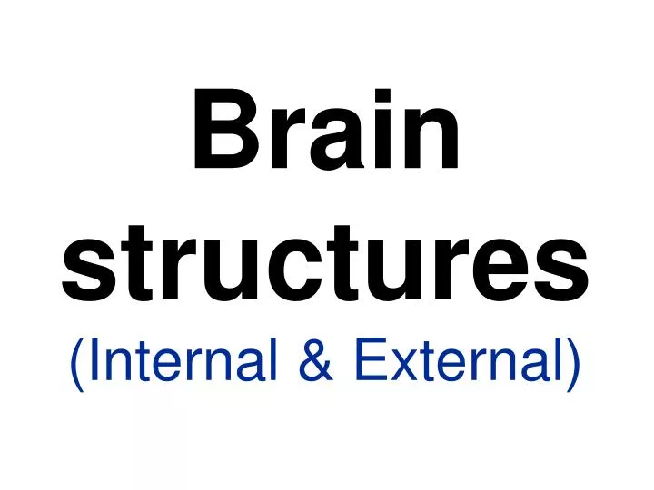 brain structures internal external