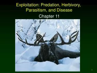 Exploitation: Predation, Herbivory, Parasitism, and Disease