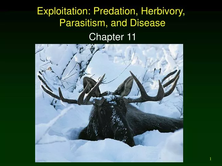 exploitation predation herbivory parasitism and disease