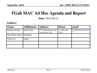 TGah MAC Ad Hoc Agenda and Report
