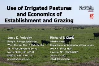 Use of Irrigated Pastures and Economics of Establishment and Grazing