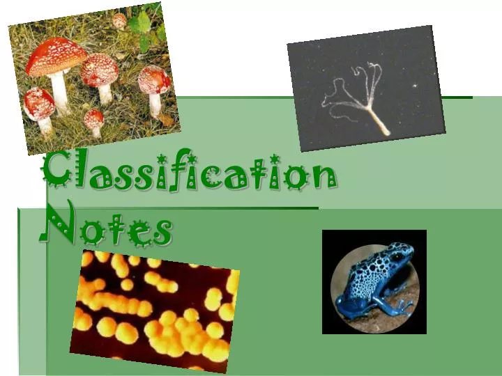 classification notes