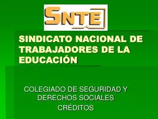 SINDICATO NACIONAL DE TRABAJADORES DE LA EDUCACIÓN