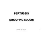 PERTUSSIS - slide 1