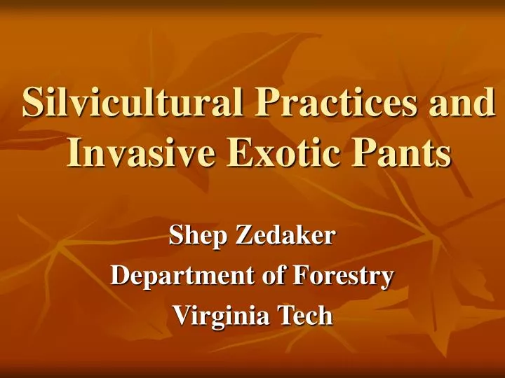 silvicultural practices and invasive exotic pants