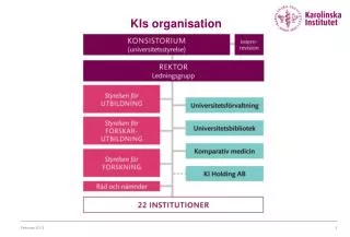 kis organisation