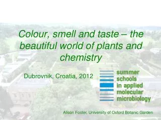 Colour, smell and taste – the beautiful world of plants and chemistry