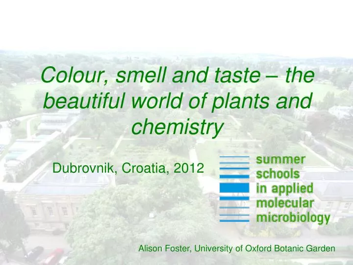 colour smell and taste the beautiful world of plants and chemistry