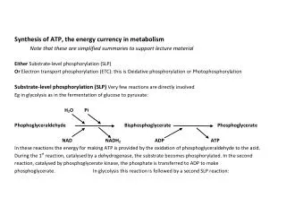 The SLP oxidation and phosphorylation reactions of glycolysis