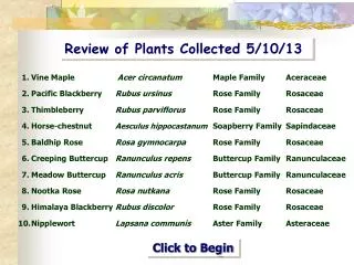 Review of Plants Collected 5/10/13