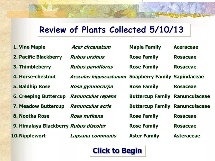 review of plants collected 5 10 13