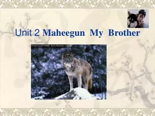 Unit 2 Maheegun My Brother