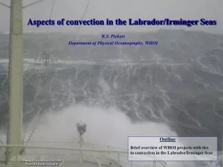 Aspects of convection in the Labrador/Irminger Seas