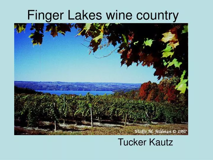 finger lakes wine country