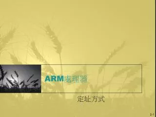 ARM 處理器