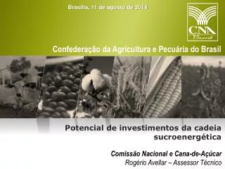 Comissão Nacional e Cana-de-Açúcar Rogério Avellar – Assessor Técnico