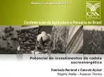 Comissão Nacional e Cana-de-Açúcar Rogério Avellar – Assessor Técnico - slide 1