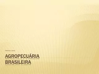 AGROPECUÁRIA BRASILEIRA