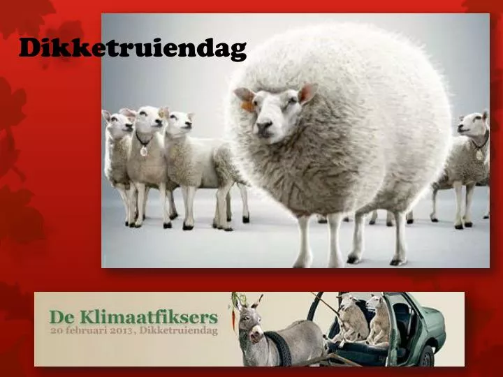 dikketruiendag