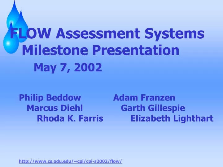flow assessment systems milestone presentation may 7 2002