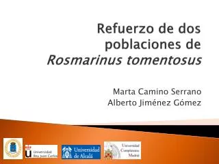 Refuerzo de dos poblaciones de Rosmarinus tomentosus