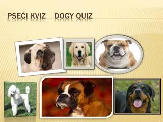 pse i kviz dogy quiz