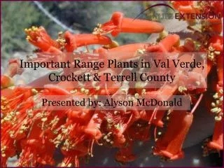 Important Range Plants in Val Verde, Crockett &amp; Terrell County