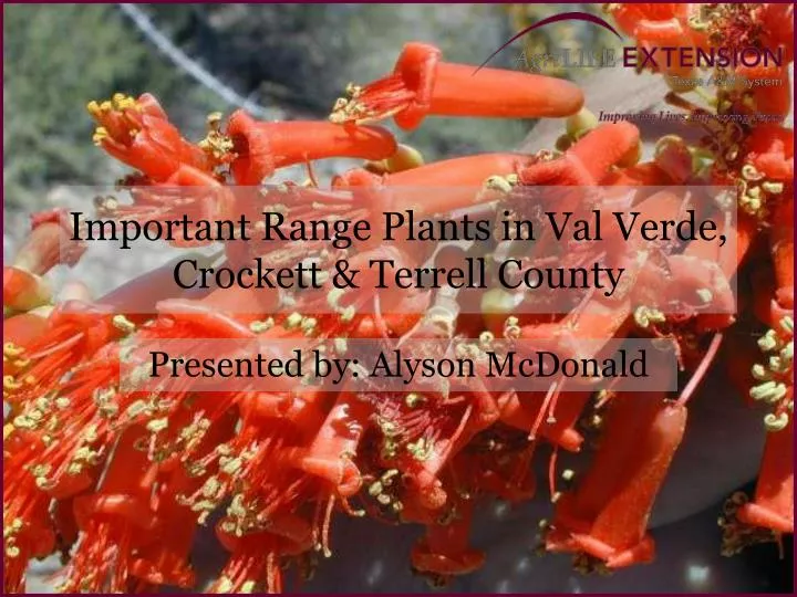 important range plants in val verde crockett terrell county