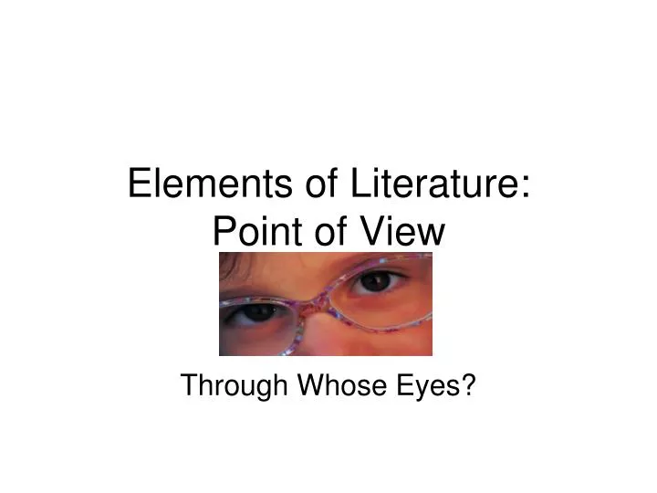 elements of literature point of view