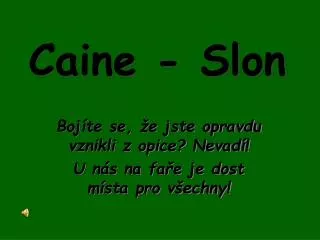 Caine - Slon