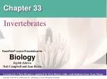 Chapter 33 - slide 1