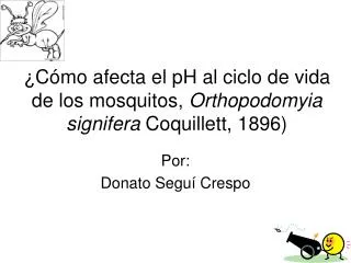 ¿Cómo afecta el pH al ciclo de vida de los mosquitos, Orthopodomyia signifera Coquillett, 1896)